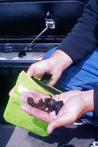 Live Leeches for Walleye Fishing